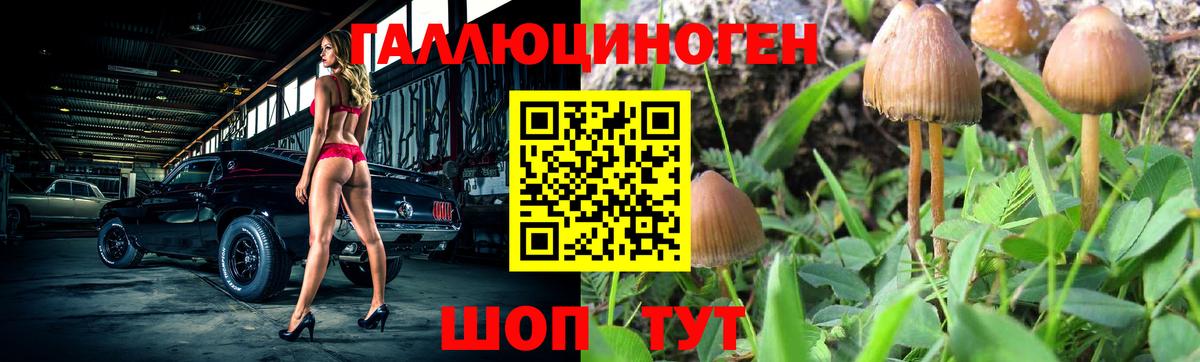 Галлюциногенные грибы ЛСД  Галлюциногенные грибы Cubensis  Мичуринск  хочу наркоту  Вход с VPN 