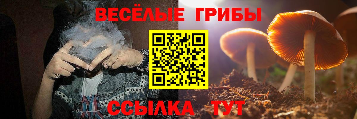 Галлюциногенные грибы мицелий Мичуринск